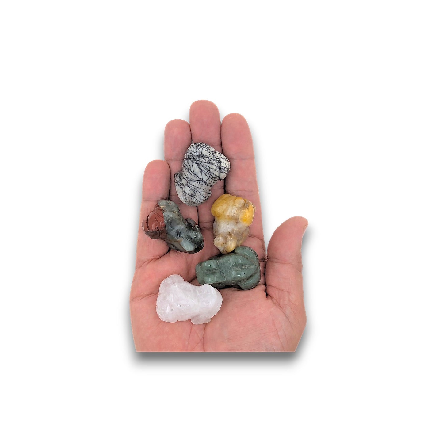 Assorted Gemstone Frogs - Pack of 5