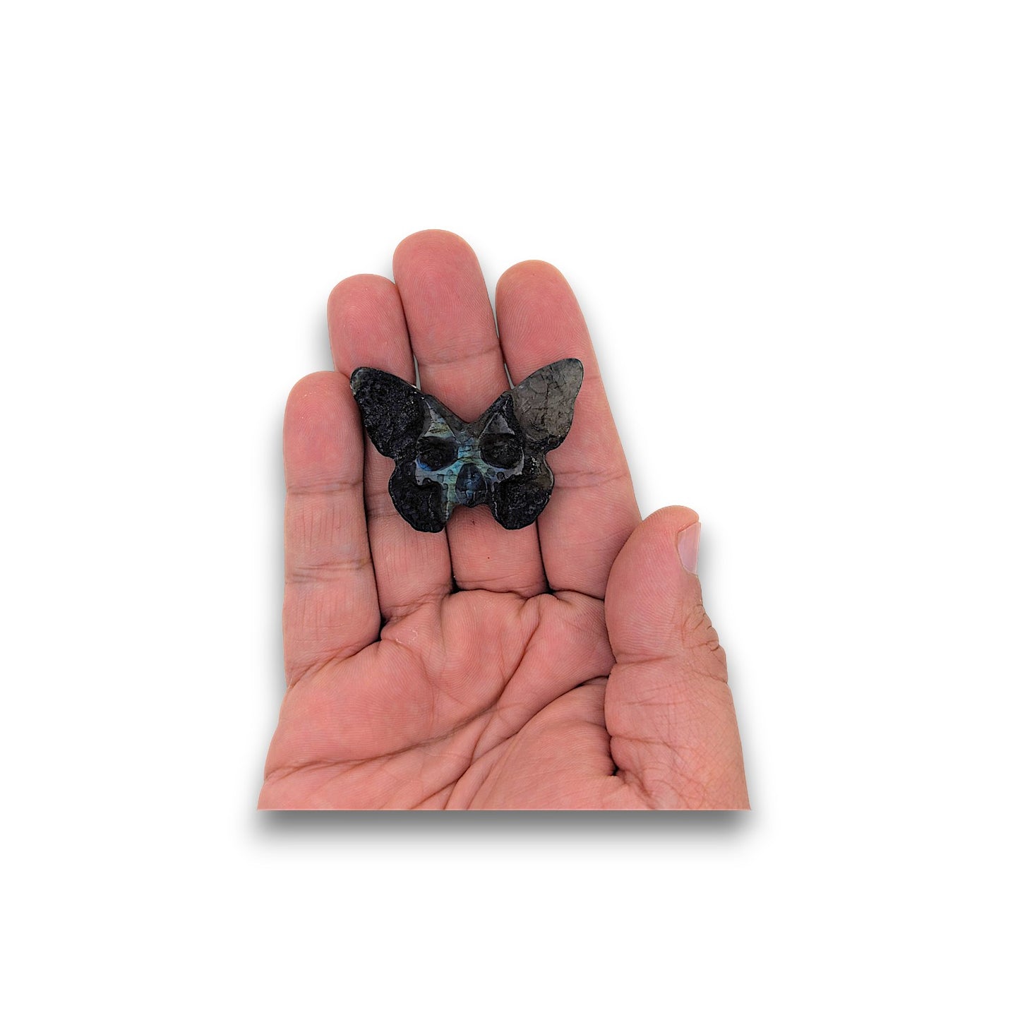 Labradorite Skull Moth