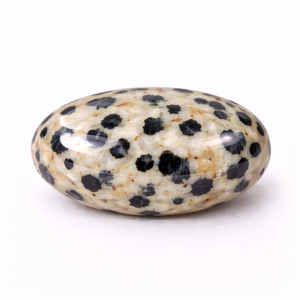 Dalmatian Jasper
