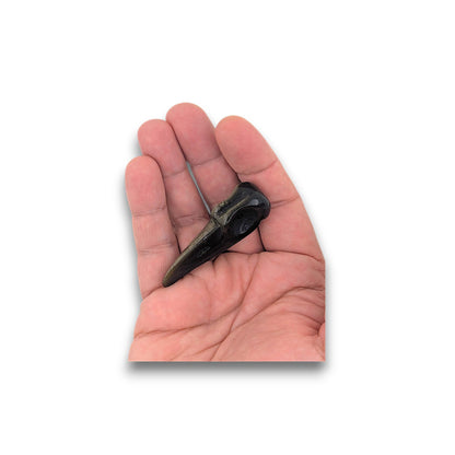 Obsidian Raven Skull Carving