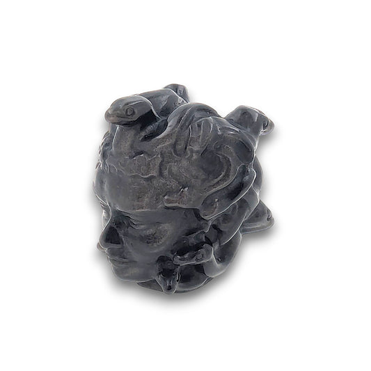 Medusa Head Carving