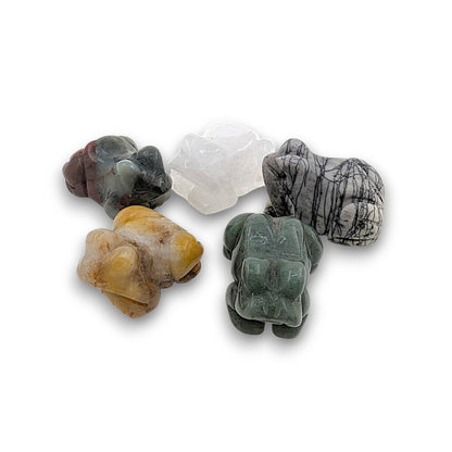 Assorted Gemstone Frogs - Pack of 5