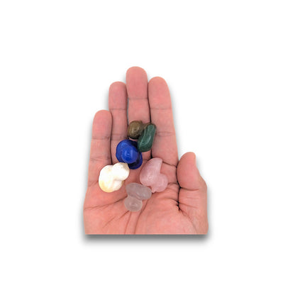 Assorted Gemstone Ducks - Pack of 5