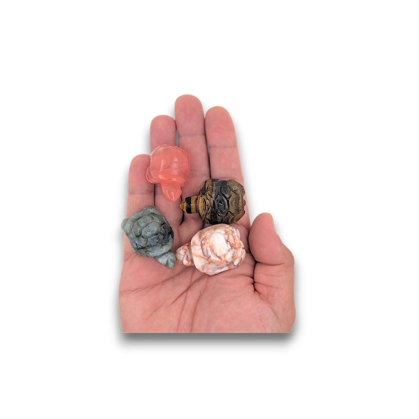Assorted Gemstone Tortoises - Pack of 4