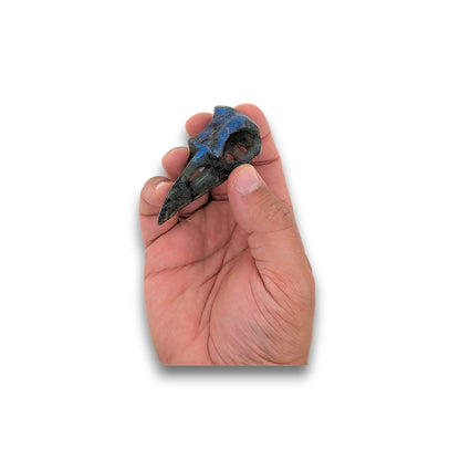 Large Labradorite Raven Skull