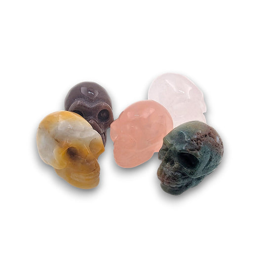 Small Assorted Gemstone Skulls - Pack of 5