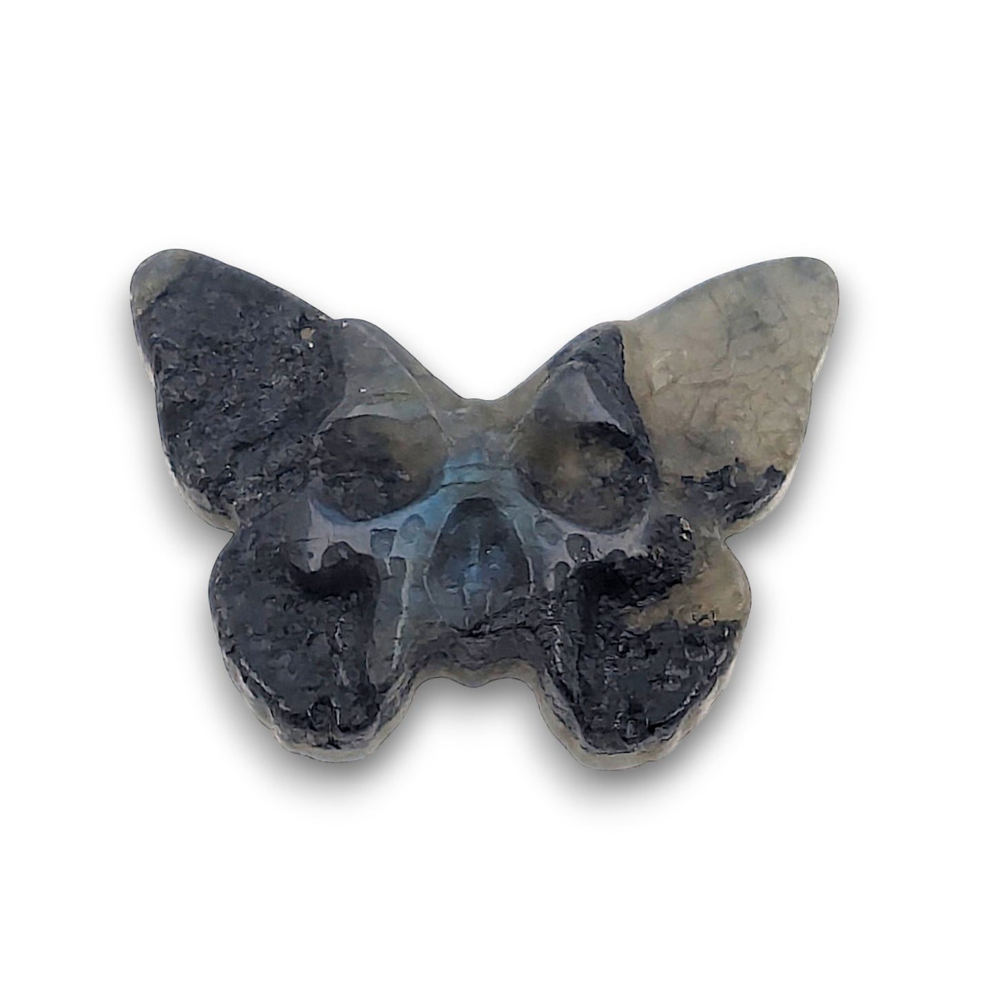 Labradorite Skull Moth