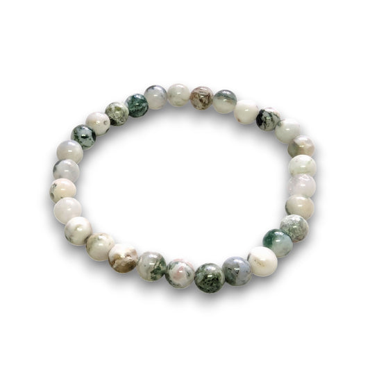 Tree Agate 6mm bead bracelet, Medium 18.5cm